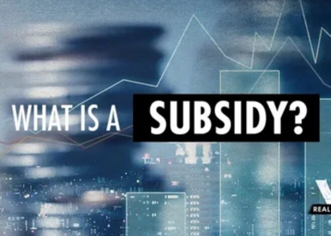 What Is a Subsidy? A Complete Guide to Understanding How Subsidies Work