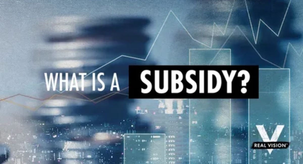 What Is a Subsidy? A Complete Guide to Understanding How Subsidies Work