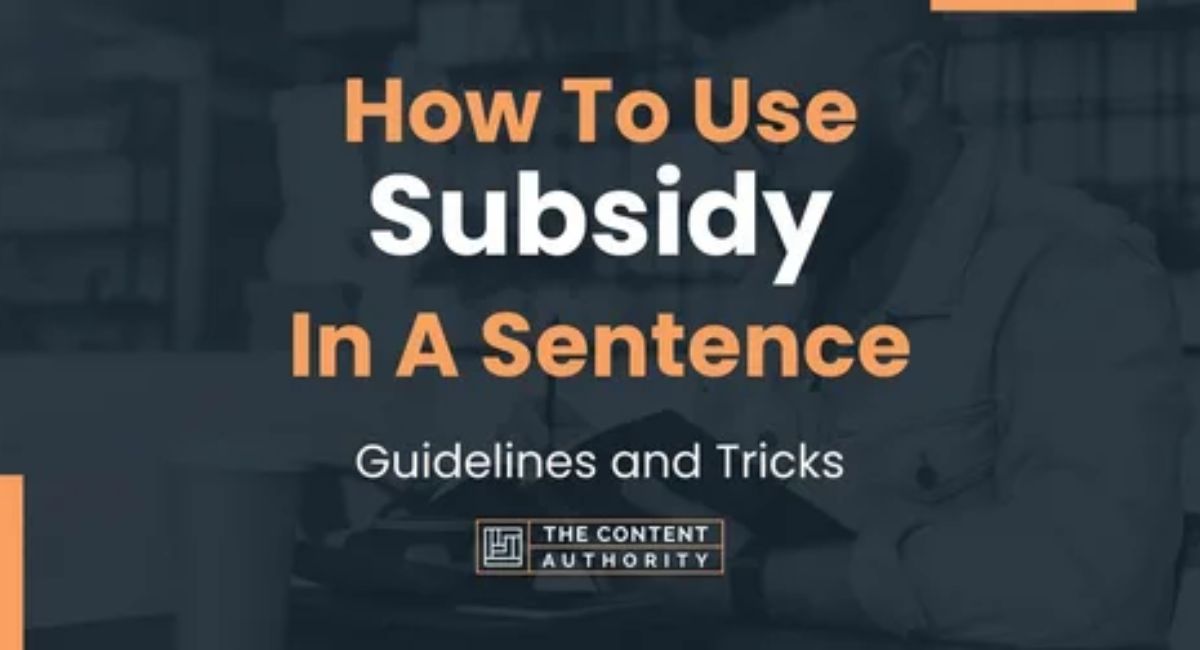 what is a subsidy