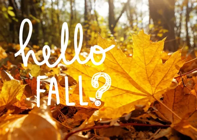 First Day of Fall 2025: A Simple Guide to the Autumn Season
