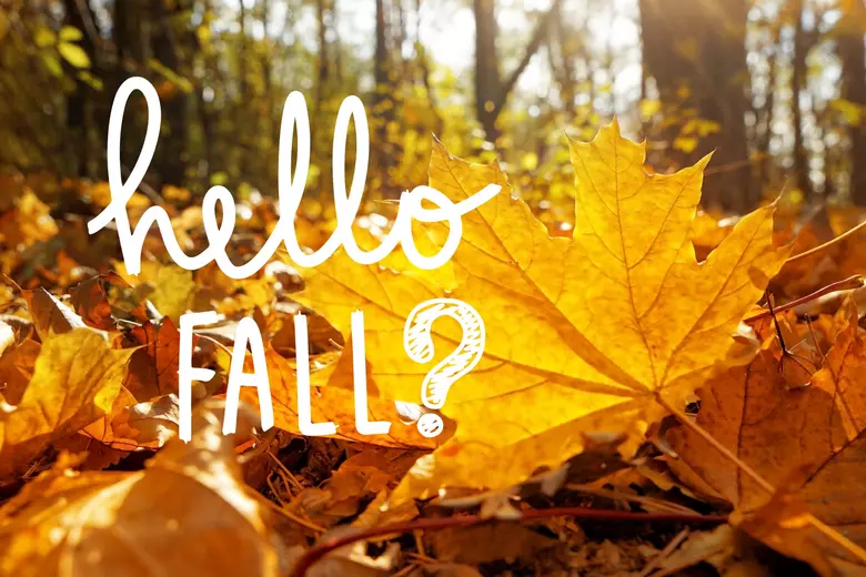 First Day of Fall 2025: A Simple Guide to the Autumn Season
